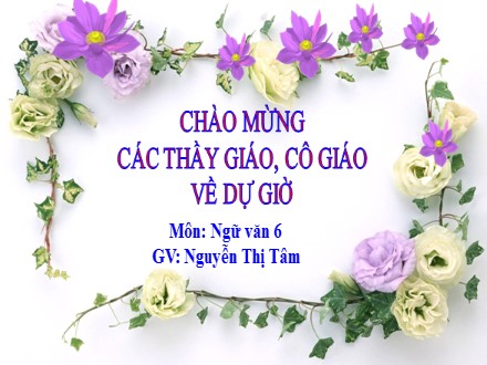 Bài giảng Ngữ văn Lớp 6 - Tiết 98+99, Bài 24: Cô Tô - Nguyễn Thị Tâm