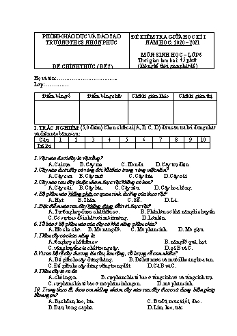Đề kiểm tra giữa kì I môn Sinh học Lớp 6 - Năm học 2020-2021 - Đề 2 - Trường THCS Nhơn Phúc