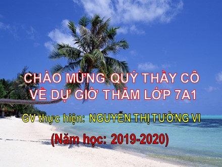 Bài giảng Hình học Lớp 7 - Chủ đề: Tiên đề Ơ-Clit về đường thẳng song song - Năm học 2019-2020 - Nguyễn Thị Tường Vi