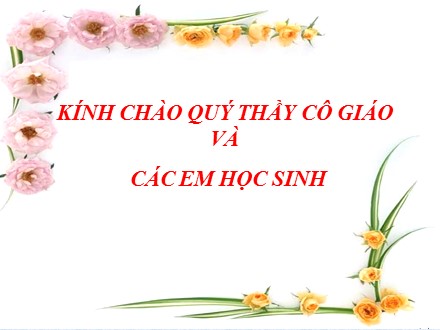 Bài giảng Lịch sử Lớp 8 - Tiết 21, Bài 13: Chiến tranh thế giới thứ nhất (1914-1918) (Tiết 2)