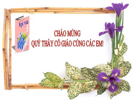 Bài giảng Ngữ văn Lớp 8 - Tiết 50, Chủ đề 38: Dấu ngoặc đơn và dấu hai chấm