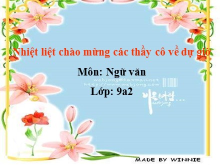 Bài giảng Ngữ văn Lớp 9 - Tiết 25: Sự phát triển của từ vựng (Tiếp theo)