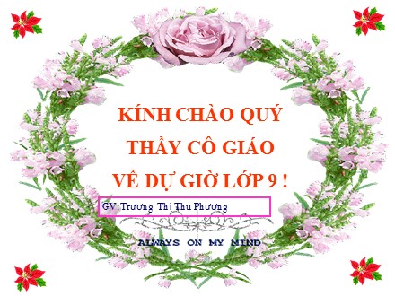 Bài giảng Ngữ văn Lớp 9 - Tiết 43: Tổng kết về từ vựng - Trương Thị Thu Phương