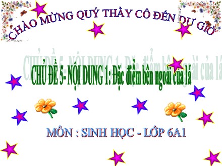 Bài giảng Sinh học Lớp 6 - Chủ đề 5: Lá - Nội dung 1: Đặc điểm bên ngoài của lá