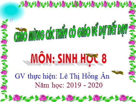 Bài giảng Sinh học Lớp 8 - Chủ đề 8: Bài tiết - Nội dung 1: Bài tiết và cấu tạo hệ bài tiết nước tiểu - Năm học 2019-2020 - Lê Thị Hồng Ân