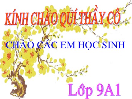 Bài giảng Vật lý Lớp 9 - Tiết 21: Tổng kết chương I Điện học