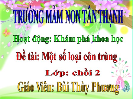 Bài giảng Lớp Chồi - Hoạt động: Khám phá khoa học, Đề tài: Một số loại côn trùng - Bùi Thùy Phương