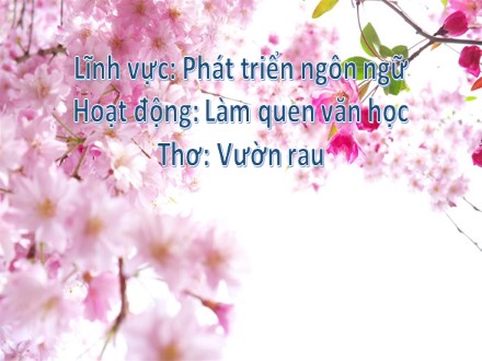 Bài giảng Lớp Lá - Lĩnh vực phát triển ngôn ngữ, Làm quen văn học, Thơ: Vườn rau