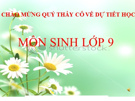 Bài giảng môn Sinh học Lớp 9 - Bài 49: Quần xã sinh vật