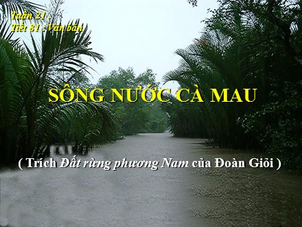 Bài giảng Ngữ văn 6 - Bài: Sông nước Cà Mau - La Thị Ngọc Huyền