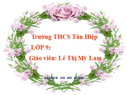 Bài giảng Ngữ văn Lớp 9 - Tiết 43: Tổng kết về từ vựng - Lê Thị Mỹ Lam