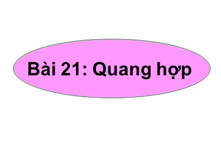 Bài giảng Sinh học 6 - Bài 21: Quang hợp