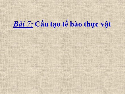 Bài giảng Sinh học 6 - Bài 7: Cấu tạo tế bào thực vật - Trường THCS Phong Nam