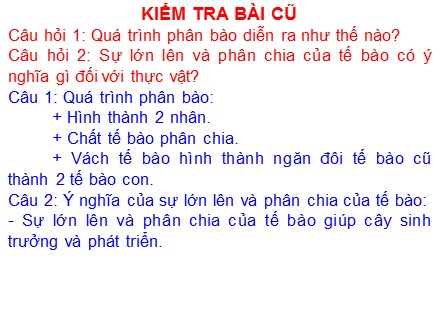 Bài giảng Sinh học 6 - Bài 9: Các loại rễ, các miền của rễ