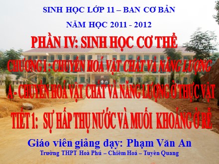 Bài giảng Sinh học 6 - Bài: Sự hấp thụ nước và muối khoáng ở rễ - Phạm Văn An