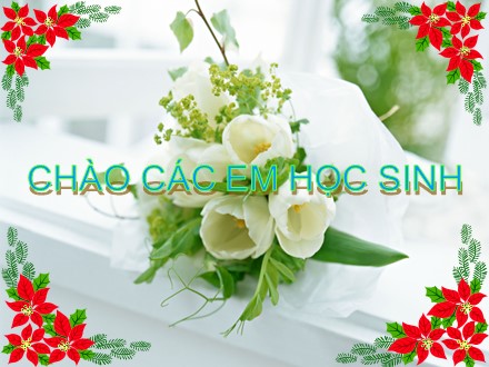 Bài giảng Sinh học 7 - Bài 12: Một số giun dẹp khác và đặc điểm chung của giun dẹp