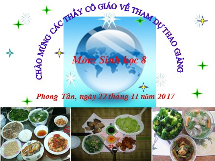 Bài giảng Sinh học 8 - Tiết 27: Tiêu hóa ở dạ dày