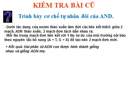 Bài giảng Sinh học 9 - Bài 17: Mối quan hệ giữa gen và ARN - Võ Ngọc Lợi