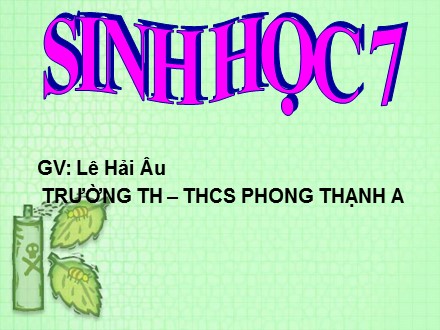 Bài giảng Sinh Học Lớp 7 Sách Cánh diều - Bài 27: Đa dạng và đặc điểm chung của lớp sâu bọ - Lê Hải Âu