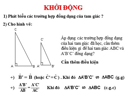 Bài giảng Toán 8 - Bài 8: Các trường hợp đồng dạng của tam giác vuông