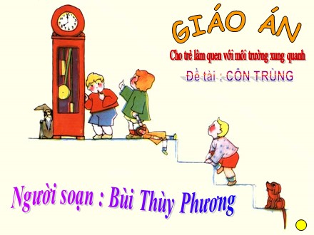 Giáo án Lớp Lá - Cho trẻ làm quen với môi trường xung quanh, Đề tài: Côn trùng - Bùi Thùy Phương