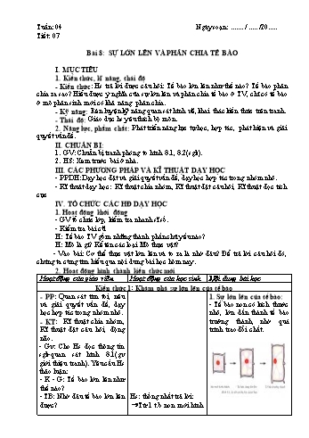 Giáo án Sinh học 6 - Tuần 4 đến 7 - Trần Ngọc Bích