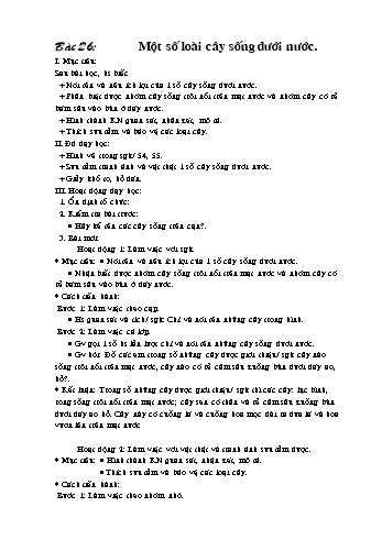 Giáo án Tự nhiên xã hội Lớp 2 - Bài 26: Một số loài cây sống dưới nước