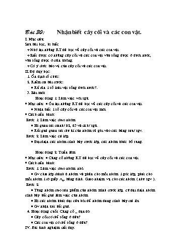 Giáo án Tự nhiên xã hội Lớp 2 - Bài 30: Nhận biết cây cối và các con vật