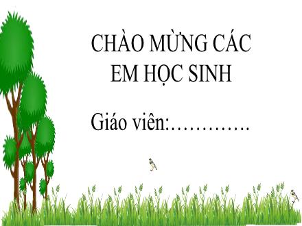 Bài giảng Ngữ văn Lớp 7 (Chân trời sáng tạo) - Bài 1: Tiếng nói của vạn vật - Tiết 8+9: Con chim chiền chiện (Huy Cận)