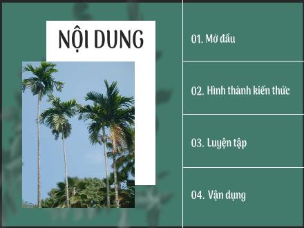 Bài giảng Ngữ văn Lớp 7 (Chân trời sáng tạo) - Bài 5: Từng bước hoàn thiện bản thân - Đọc: Bài học từ cây cau (Nguyễn Văn Học)