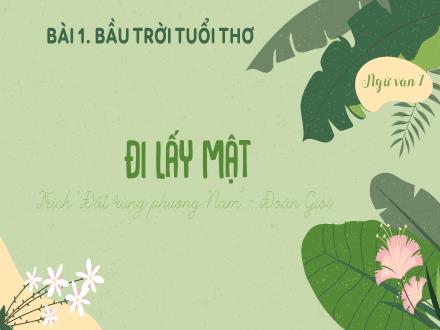 Bài giảng Ngữ văn Lớp 7 (Kết nối tri thức với cuộc sống) - Bài 1: Bầu trời tuổi thơ - Đọc hiểu văn bản: Đi lấy mật (Trích “Đất rừng phương Nam” - Đoàn Giỏi)
