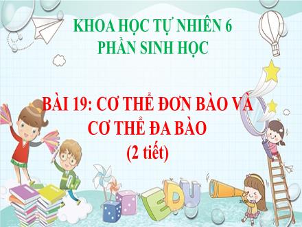 Bài giảng Khoa học tự nhiên 6 (Sinh học) - Bài 19: Cơ thể đơn bào và cơ thể đa bào