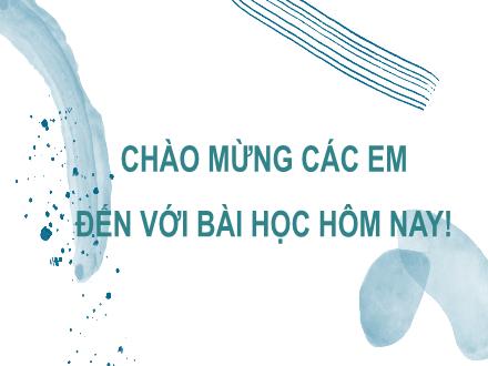 Bài giảng Khoa học tự nhiên Lớp 8 (Sinh học) Sách kết nối tri thức với cuộc sống - Bài 44: Hệ sinh thái