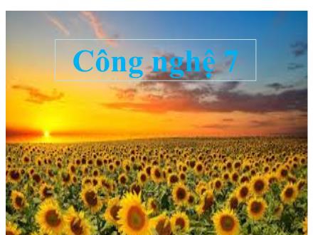 Bài giảng môn Công nghệ 7 - Tiết 8. Bài 10: Vai trò của giống và phương pháp chọn giống cây trồng