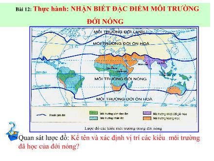 Bài giảng môn Địa lí 7 - Bài 12: Thực hành Nhận biết đặc điểm môi trường đới nóng