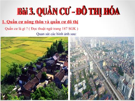 Bài giảng môn Địa lí 7 - Bài 3: Quần cư. Đô thị hóa