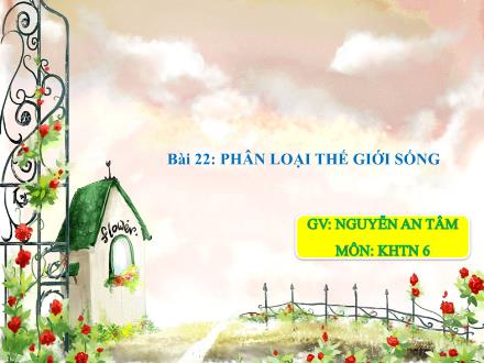 Bài giảng môn Khoa học tự nhiên 6 Sách Chân trời sáng tạo - Bài 22: Phân loại thế giới sống - Nguyễn An Tâm