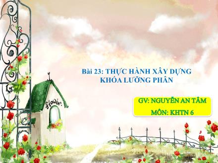 Bài giảng môn Khoa học tự nhiên 6 Sách Chân trời sáng tạo - Bài 22: Thực hành xây dựng khóa lưỡng phân - Nguyễn An Tâm