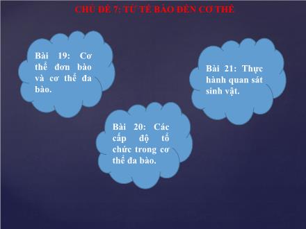 Bài giảng môn Khoa học tự nhiên 6 Sách Chân trời sáng tạo - Chủ đề 7: Từ tế bào đến cơ thể - Bài 19: Cơ thể đơn bào và cơ thể đa bào