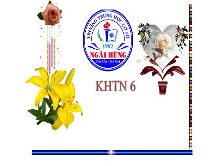 Bài giảng môn Khoa học tự nhiên 6 Sách Chân trời sáng tạo - Chủ đề 9: Lực - Bài 35: Lực và biểu diễn lực