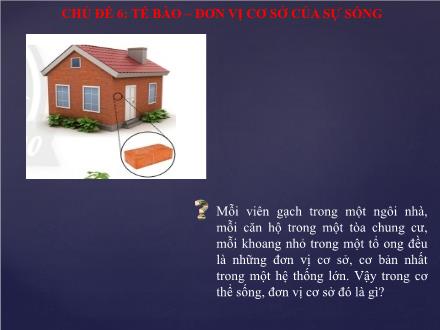 Bài giảng môn Khoa học tự nhiên 6 Sách Chân trời sáng tạo - Chủ đề 6: Tế bào. Đơn vị cơ sở của sự sống - Bài 17: Tế bào