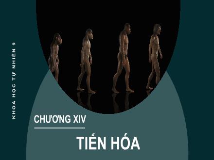 Bài giảng môn Khoa học tự nhiên 9 Sách Kết nối tri thức - Chương XIV: Tiến hóa - Bài 49: Khái niệm tiến hóa và các hình thức chọn lọc - Năm học: 2024-2025