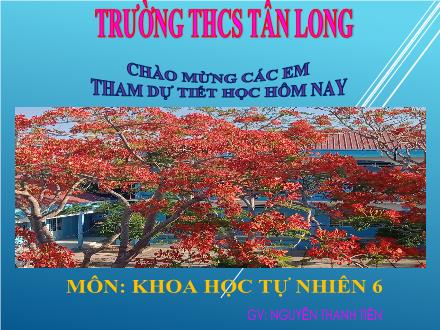 Bài giảng môn KHTN 6 Sách Chân trời sáng tạo - Bài 1: Giới thiệu Khoa học tự nhiên - Nguyễn Thanh Tiền