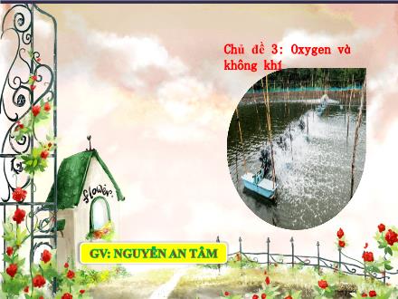 Bài giảng môn KHTN 6 Sách Chân trời sáng tạo - Chủ đề 3: Oxygen và không khí - Bài 9: Oxygen - Nguyễn An Tâm