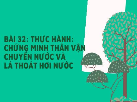 Bài giảng môn KHTN 7 Sách Kết nối tri thức - Bài 32: Thực hành Chứng minh thân vận chuyển nước và lá thoát hơi nước