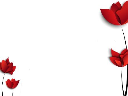 Bài giảng môn KHTN 8 Sách Kết nối tri thức (Vật lí) - Tiết 7. Bài 16: Áp suất chất lỏng. Áp suất khí quyển (Tiết 1)