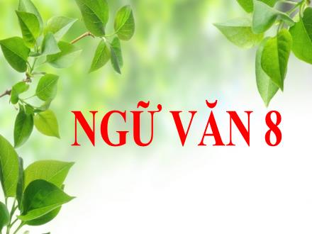 Bài giảng môn Ngữ văn 8 - Tình thái tử