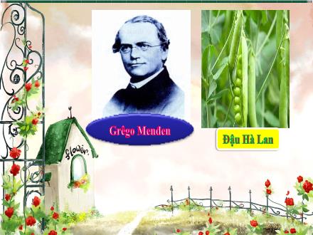 Bài giảng môn Sinh học 9 - Chương 1: Các thí nghiệm của Menđen - Bài 1: Menđen và Di truyền học