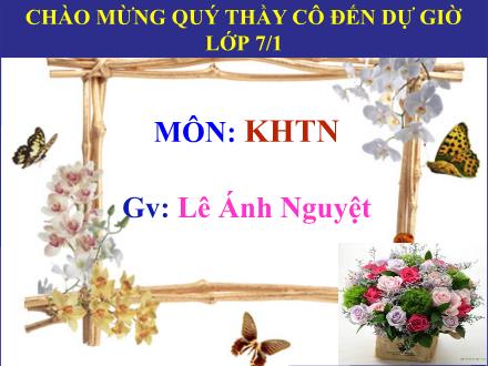 Bài giảng môn Vật lí 7 (Chân trời sáng tạo) - Chủ đề 4: Âm thanh. Bài 12: Mô tả sóng âm