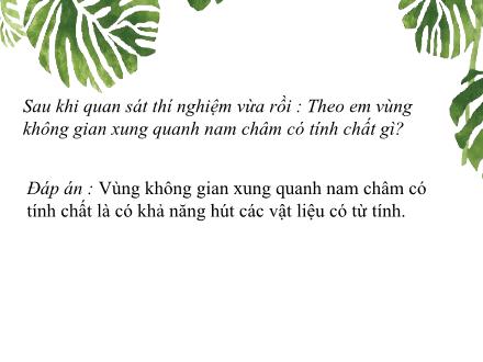 Bài giảng môn Vật lí 7 Sách Chân trời sáng tạo - Bài 19: Từ trường
